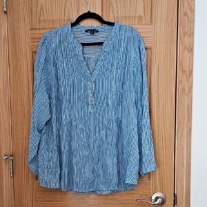 Zac & Rachel Blue Pinstripe Blouse